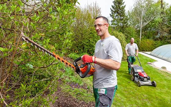 Ein Mann schneidet eine Hecke mit einer elektrischen Heckenschere. Dahinter mäht jemand den Rasen.